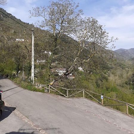 Aparatamento Rural El Oso 3 Pola de Somiedo Exteriér fotografie