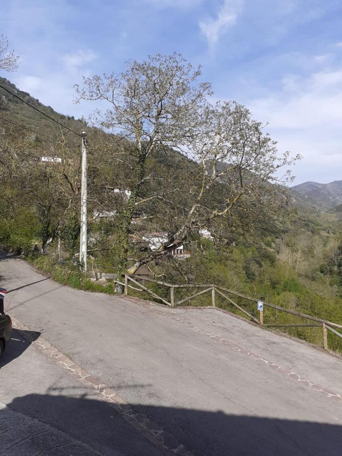 Aparatamento Rural El Oso 3 Pola de Somiedo Exteriér fotografie
